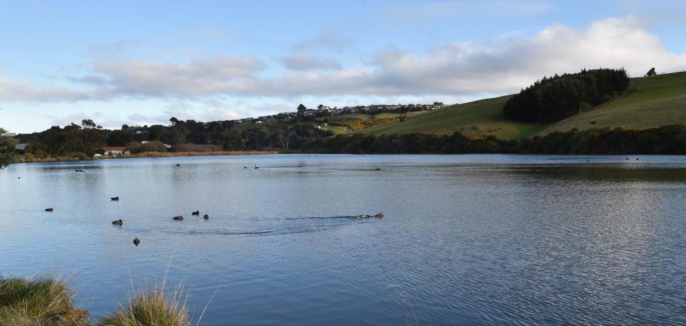 Plans are being set up to improve the water quality of Tomahawk lagoon.PHOTO: ODT FILES