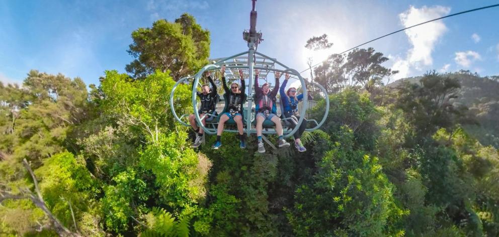 Cable Bay Adventure Park's Skywire is one of Nelson's newer and very exciting tourist attractions...