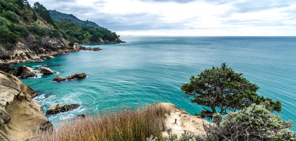 Boat Bay on the Coromandel Peninsula. 