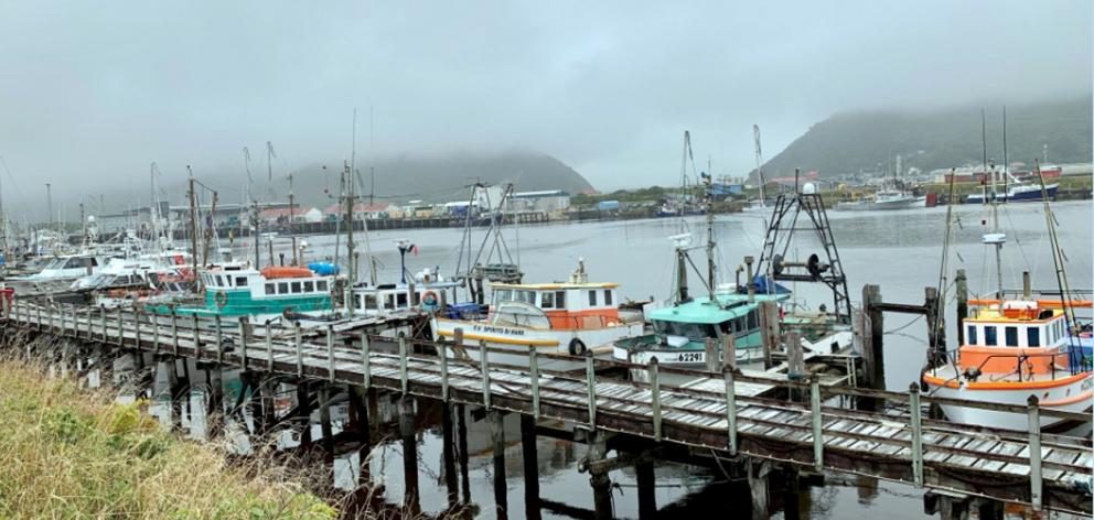 The fishing fleet in Greymouth. PHOTOS: SUPPLIED