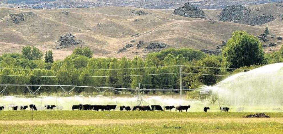 A pivot irrigator near Omakau provides grass growth to support a dairy herd. PHOTO: STEPHEN...