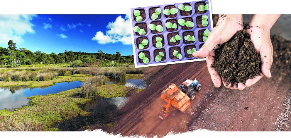 Peat wetlands store the partially decomposed remains of ancient plants, locking away the carbon....