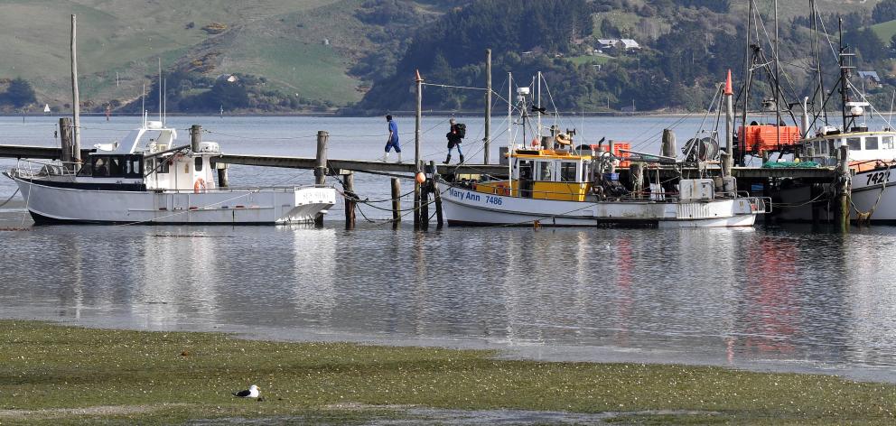 PHOTO: STEPHEN JAQUIERY

