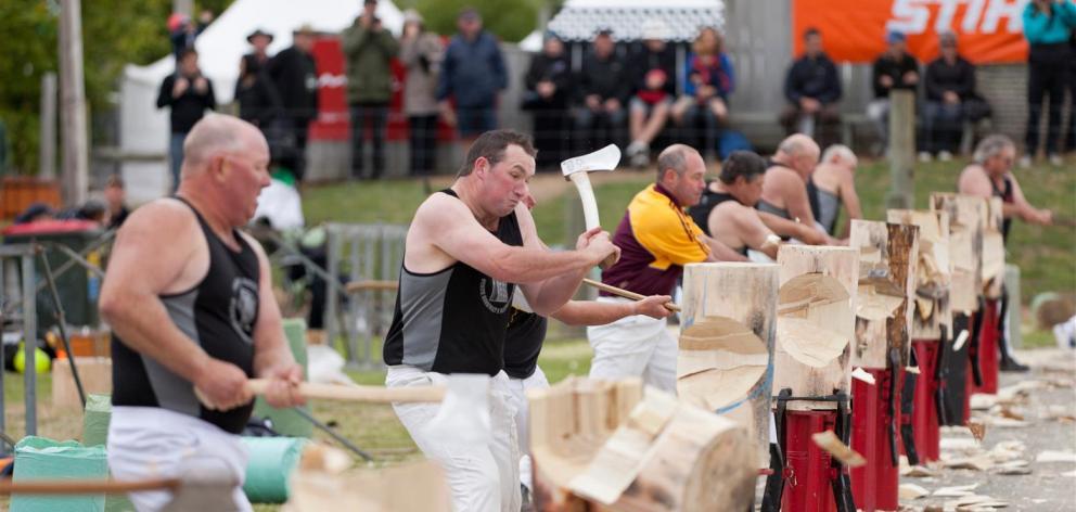 The nation's biggest A&P Show, the New Zealand Agricultural Show, has been canned. Photo: 	New Zealand Agricultural Show