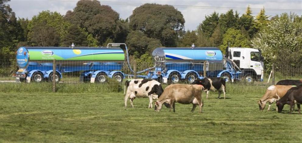 reportedly worrying Fonterra's owners is its $800m investment in establishing dairy farms in...