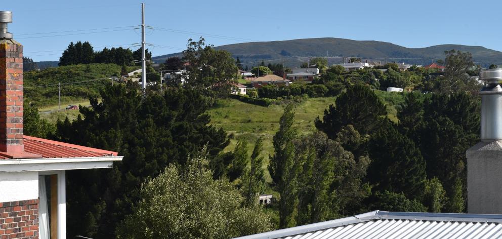 The developers received a subdivision consent and land use consent from the Dunedin City Council to create 27 vacant residential sites on the southwestern hillside. Photo: Gregor Richardson