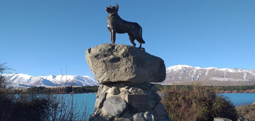 Sheep dog statue, Tekapo.