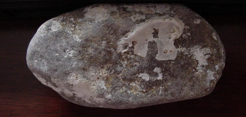 Sandra and Chris Arnold found this stone with an ‘R’ on it while swimming in the Indian Ocean on...