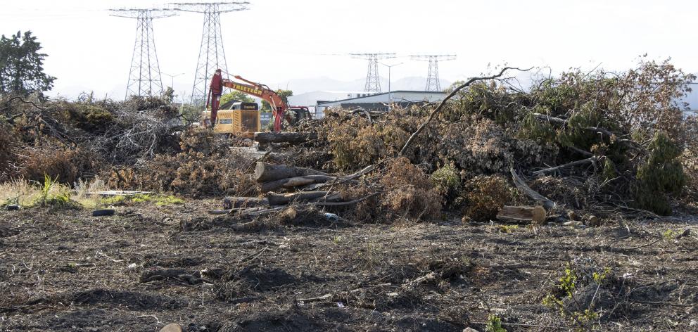 The trees and shrubs cleared from the former Sockburn Service Centre site were causing security...