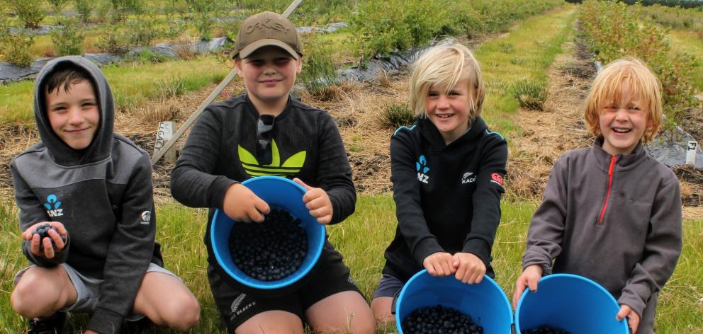 Invercargill boy Mason Steel (10, second from left) took his cousins (from left) Finn (9), Eli (8...