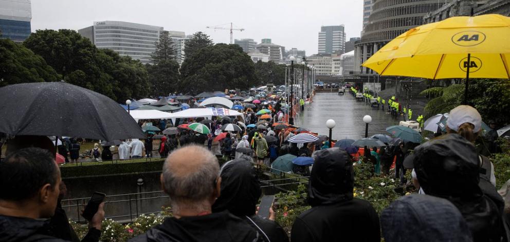 It was a sodden day at Parliament but protest numbers still continued to swell. Photo / George Heard