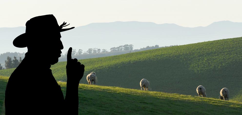 Some southern farmers are ignoring Government protocols and telling staff to never get a Covid-19...