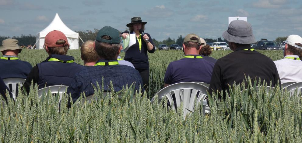 Foundation for Arable Research’s Jo Drummond, pictured speaking at a field day, sympathises with...