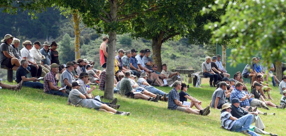 The crowd on the bank at the Lawrence Gymkhana Club’s working dog sale watch the entries being...