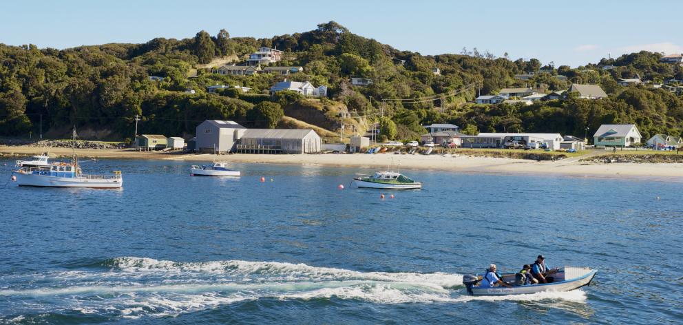 Oban, Stewart Island. Photo: Getty Images