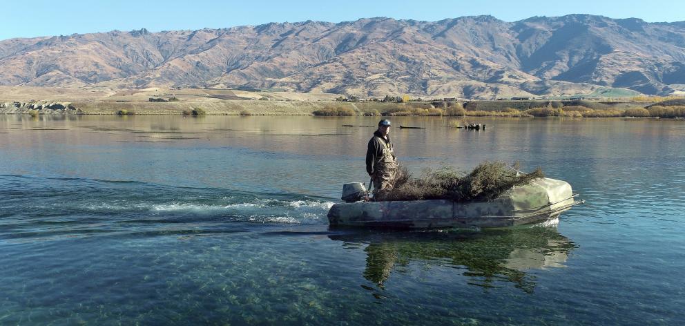 Otago Fish & Game councillor Blair Trevathan putters his boat, which he shoots from, across Lake...