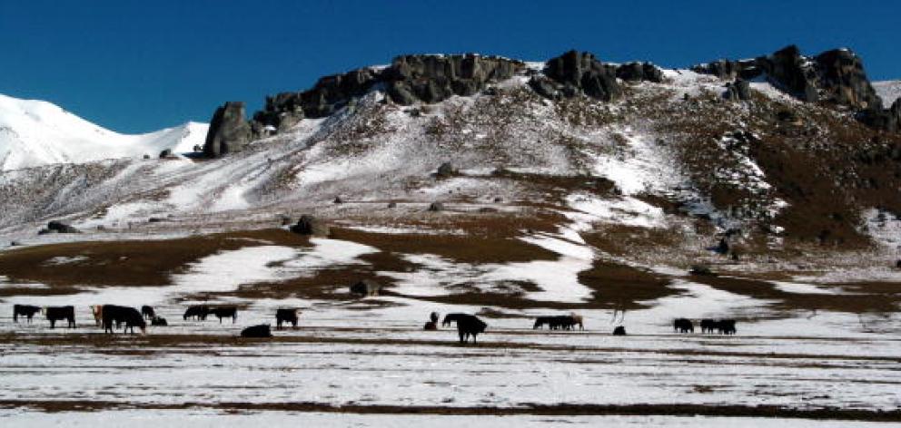 Porters Pass leads to several Canterbury club ski fields. Photo: Getty Images