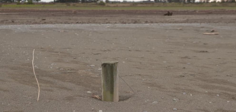 Tim Sanson says nothing grows on a farm damaged by salt water. Photo: RNZ / Nate McKinnon