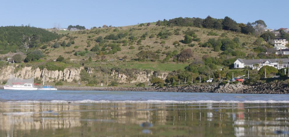 Forrester Heights in Oamaru. PHOTO: ODT FILES