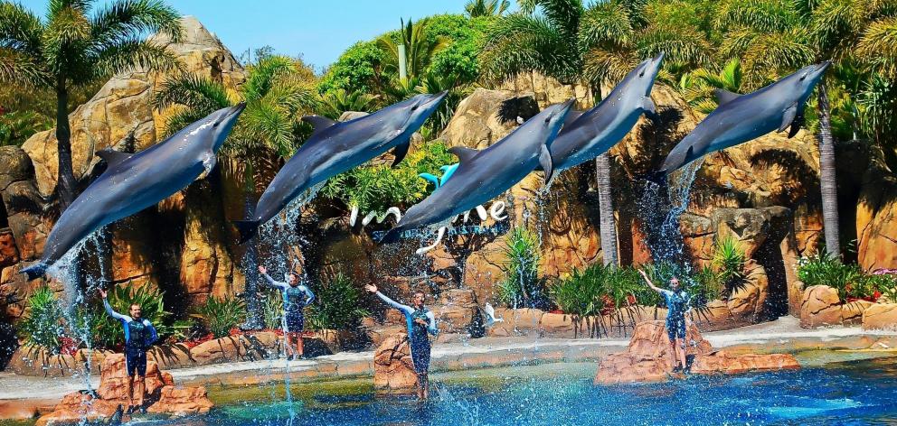 Sea World Review, Australia's BEST Theme Park