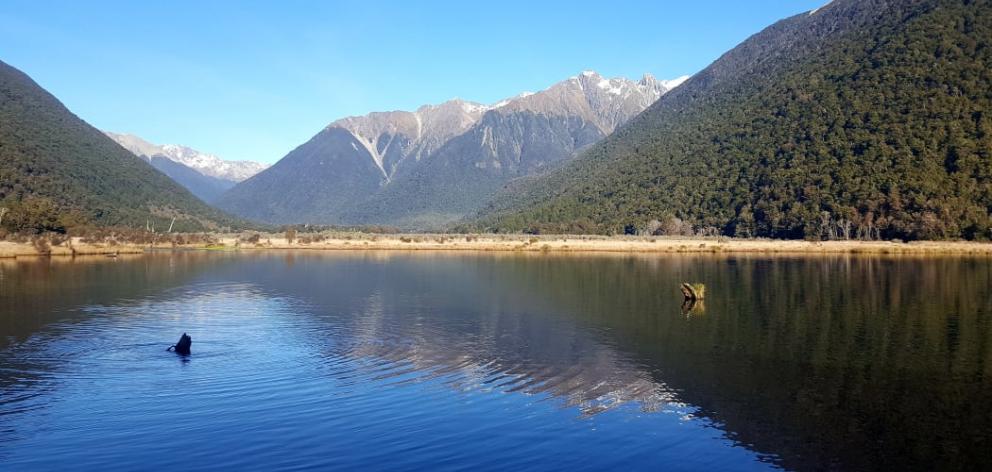 The northern tip of the southern alps near St Arnaud in the Nelson Lakes National Park in late...