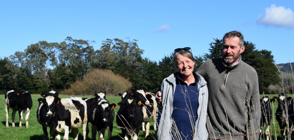 Meander Holsteins owners Robert and Annemarie Bruin with a herd of their heifers, which have been...