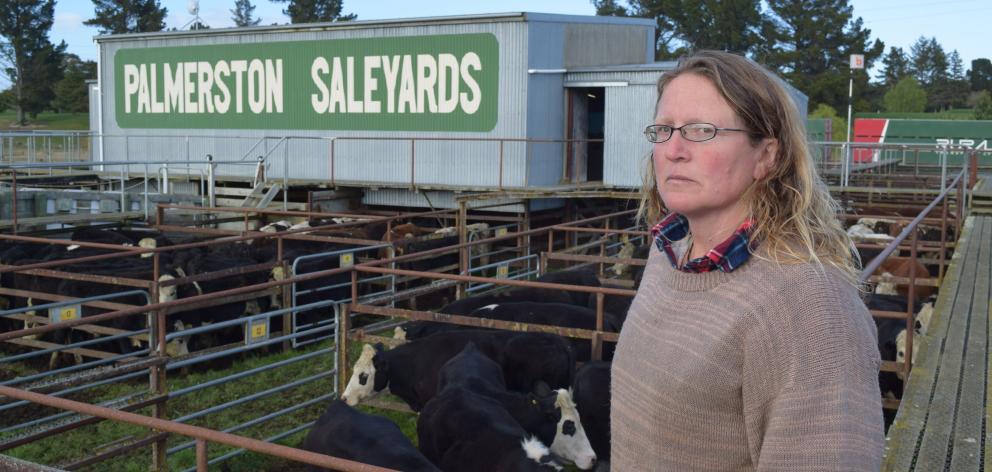 Palmerston Saleyards chairman Anita Vickers, of Palmerston, keeps the cattle flowing on sale day.