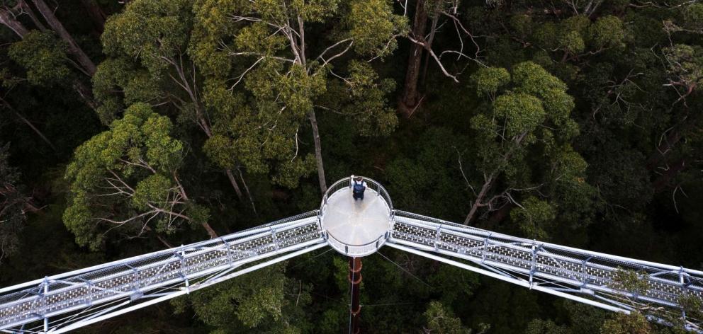 Above the Tree Top Walk. PHOTO: TOURISM WESTERN AUSTRALIA.
