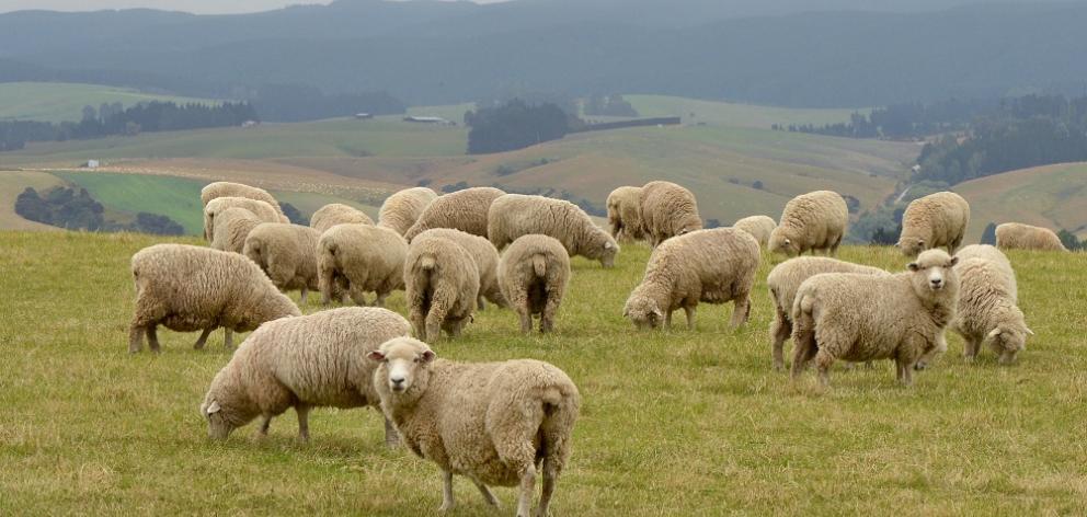 The survey shows farmer sentiment has stabilised after concerns about government intervention. 