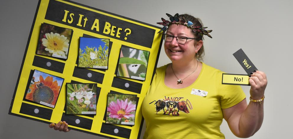 University of Otago department of zoology, Dr Jenny Jandt, holds her "is it a bee" sign at the...