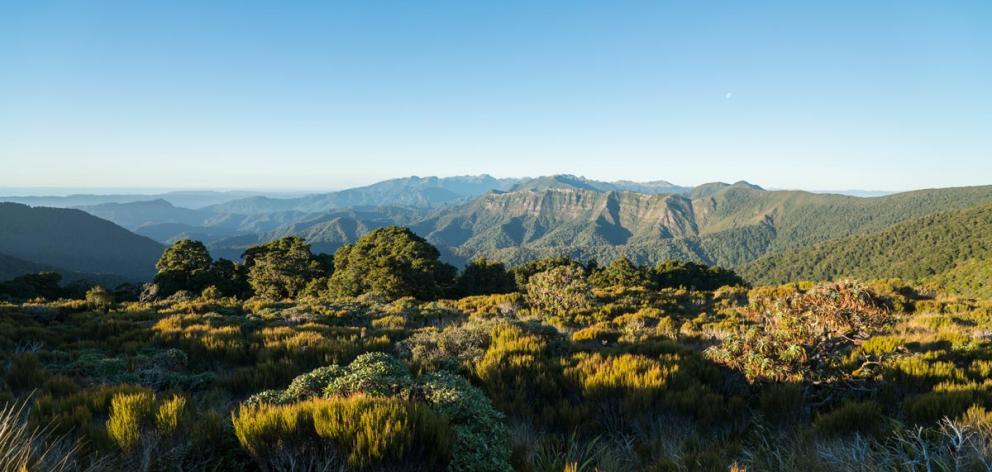 The Paparoa Track. Photo: DOC