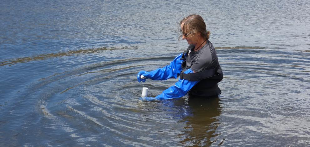 Otago Regional Council technician Kath Kelly takes water samples at Butchers Dam, near Alexandra,...