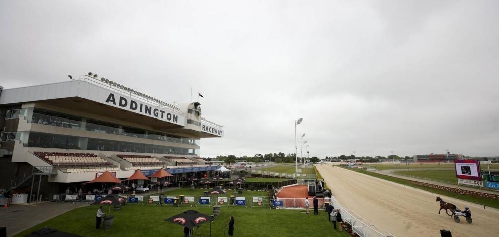 An assistant starter at Addington Raceway is facing possible sanctions after being charged with...