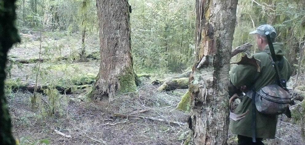A still from a trail camera of a poacher on a Central Otago property in 2020. The man was...