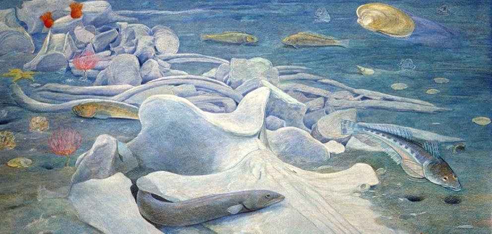 Burial in the ancient sea of Zealandia: A Toipahautea whale skeleton is slowly covered by sand 27...