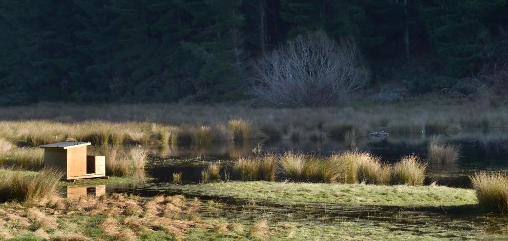 A mai-mai on Takitakitoa Wetland, near Henley. PHOTO: ODT FILES