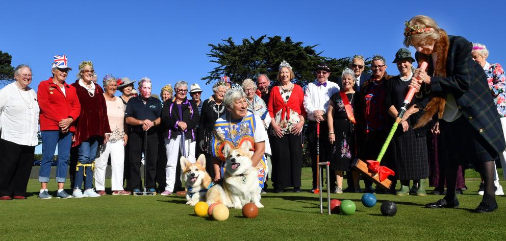Members of the Tainui Croquet Club look on as Trish Enright, of Mosgiel, hits a croquet ball on...
