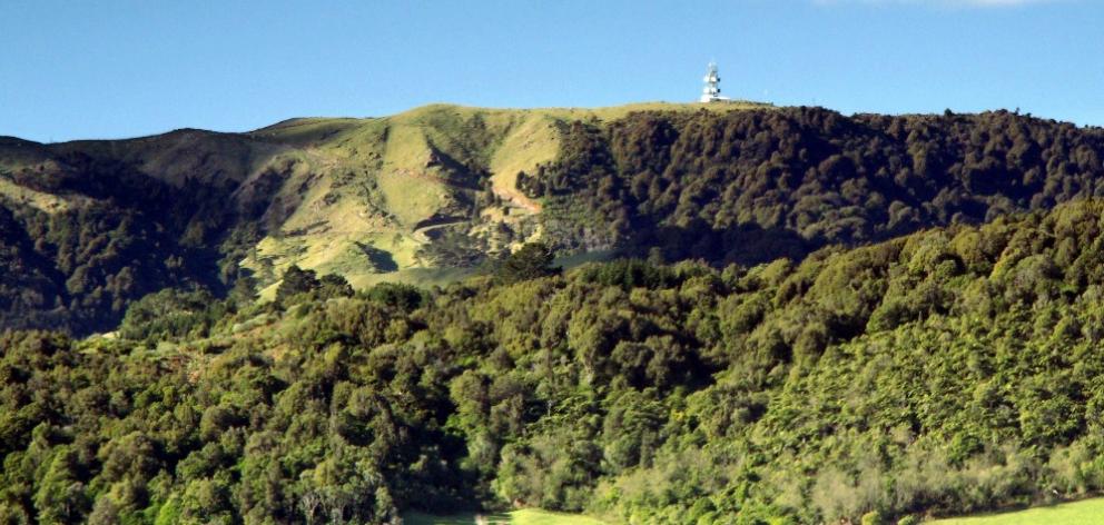 Kamai Ranges, New Zealand. PHOTO: Paul Moss, Photographer, Artist via WIKIPEDIA