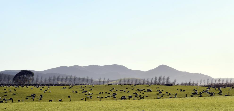 The Southland dairy sector has 2300 farming jobs and 770 processing jobs, accounting for nearly...