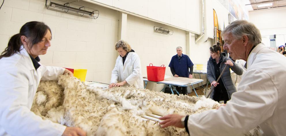 Woolhandling judges (from left) Linda Tarrant, Janet Smith and Ken Gillespie check for faults...