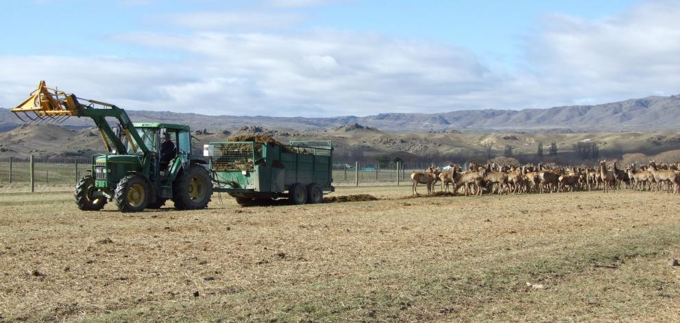 Rural folk need better PR, Gerrard Eckhoff writes. PHOTO: ODT FILES