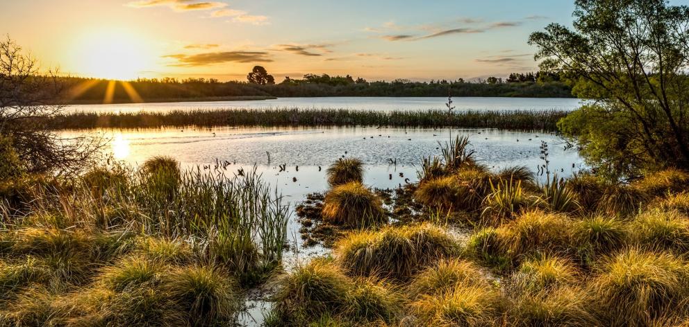 Tūhaitara Coastal Park spans from the Waimakariri River to Waikuku Beach. Photo: Te Kōhaka o...