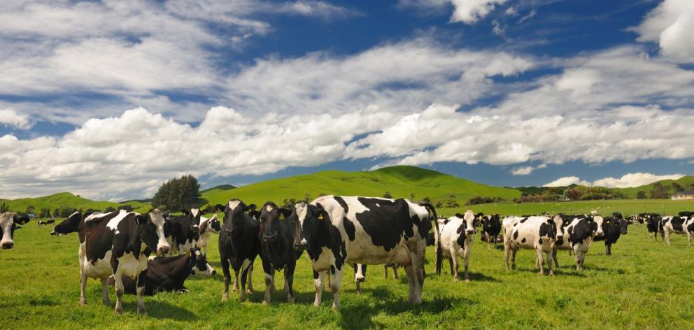 The report found 5000 dairy farms were not inspected for dairy effluent compliance.