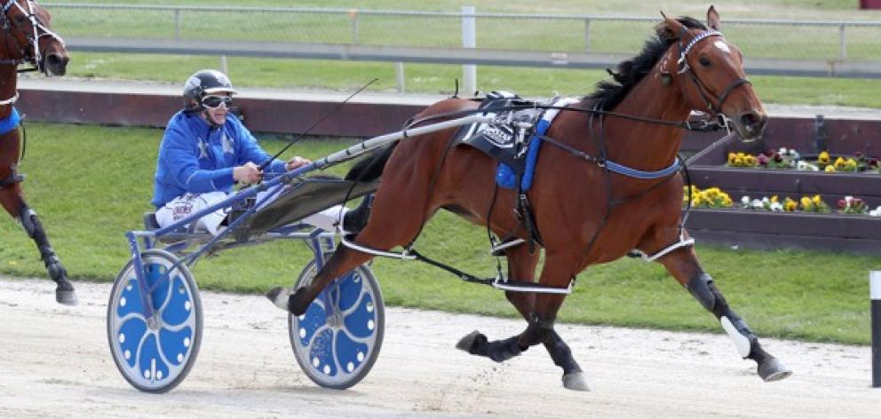 Millwood Nike is out of Sunday's Tennant Engineering New Zealand Pacing Oaks. Photo: HRNZ