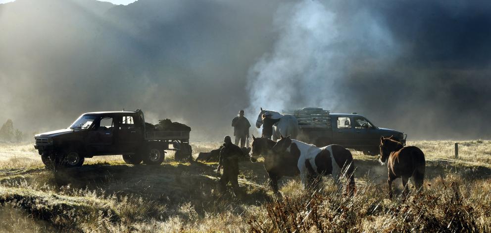 Horses wait to be saddled for the main muster day on the Nolan farm in the Cascade Valley. Photo:...