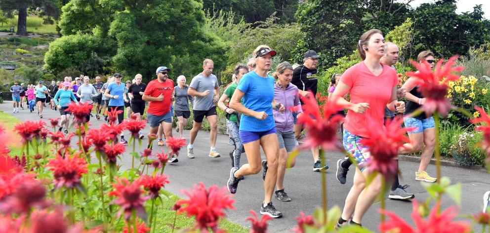 Runners take part in the Dunedin Park Run at the Botanic Gardens on Saturday morning. Next...