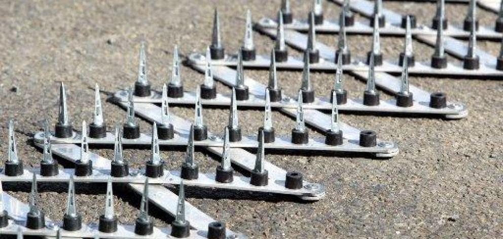 The vehicle’s wheels were spiked by police near Waihola in South Otago. Photo: ODT files 