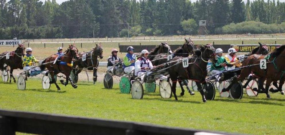 Photo: Amberley Trotting Club