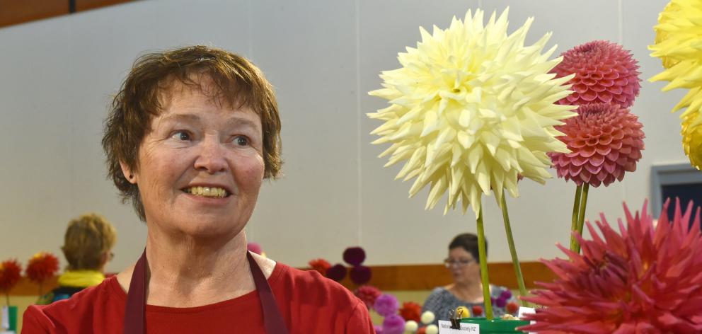 Attending the South Island National Dahlia Show in Waikouaiti on Saturday was Anne Kenney, who...