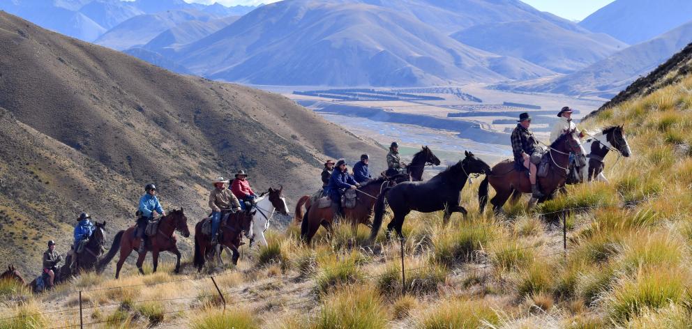 Riders on the Galloway to Twizel leg of a horse trek through the South Island head for the...
